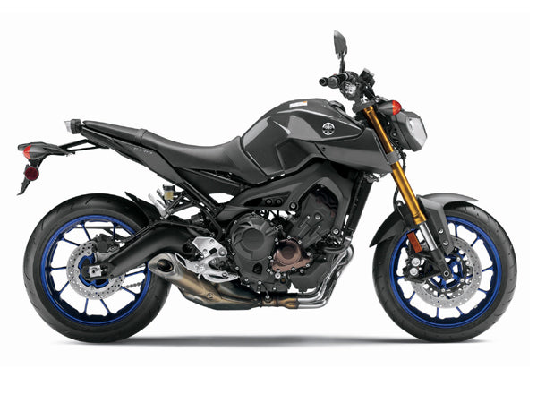 FZ Models