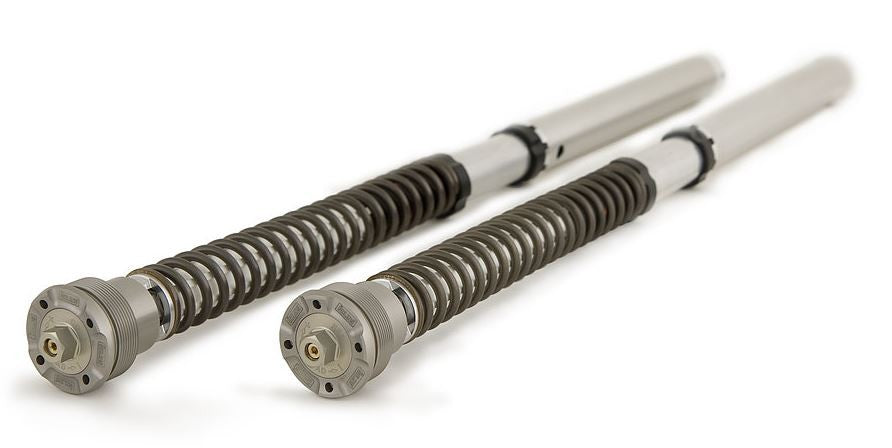 Ohlins FGK203 30mm Cartridge Kit for 2008-2011 Honda CBR1000RR (Springs Included)
