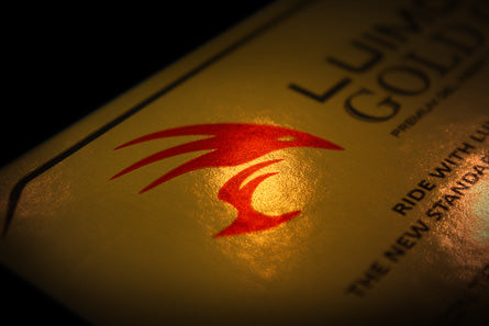 LuiMoto Premium Gold Gel Insert Pad for Motorcycle Seat