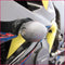 GB Racing Bullet Frame Sliders for '09-'20 Kawasaki ZX6R