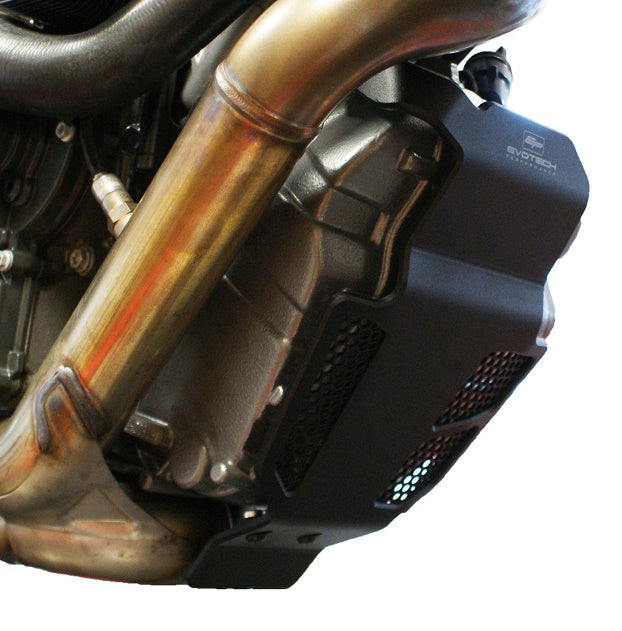Evotech Performance Engine Guard for 2014-2017 KTM 1290 Superduke / R