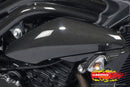 ILMBERGER Carbon Fiber Right+Left Side Panel 2011-2012 Triumph Speed Triple / R 1050